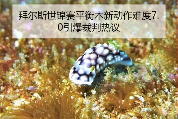 拜尔斯世锦赛平衡木新动作难度7.0引爆裁判热议